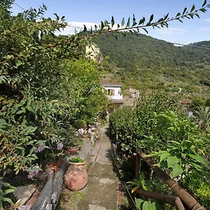 Lardarina Corniglia