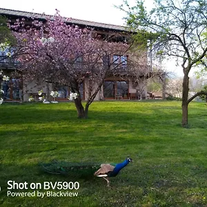  Alloggio per agriturismo Bioagriturismo Vegan Campo Di Cielo